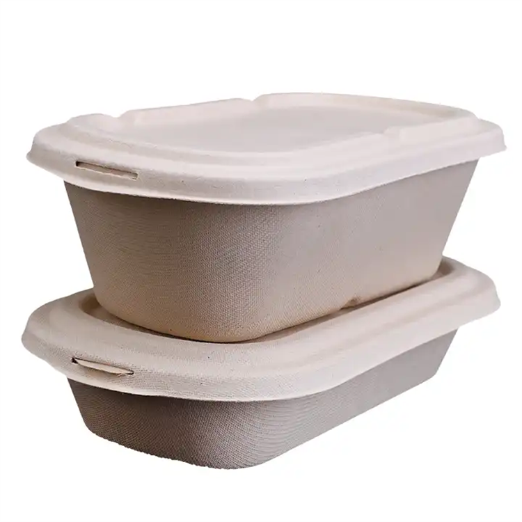 Одноразовый контейнер для пищевых продуктов из багассы с квадратной миской